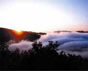 鸡东天气预报10天