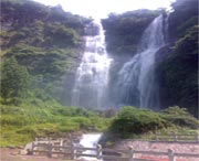 泰顺后天天气