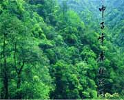 庆元天气预报7天
