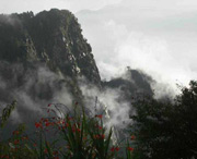 临武后天天气